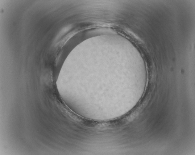 X0000079341169200612082017