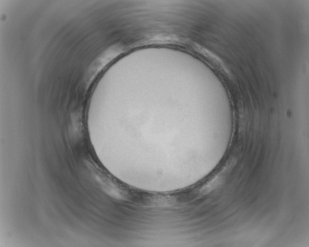 X0000079341170200612082017