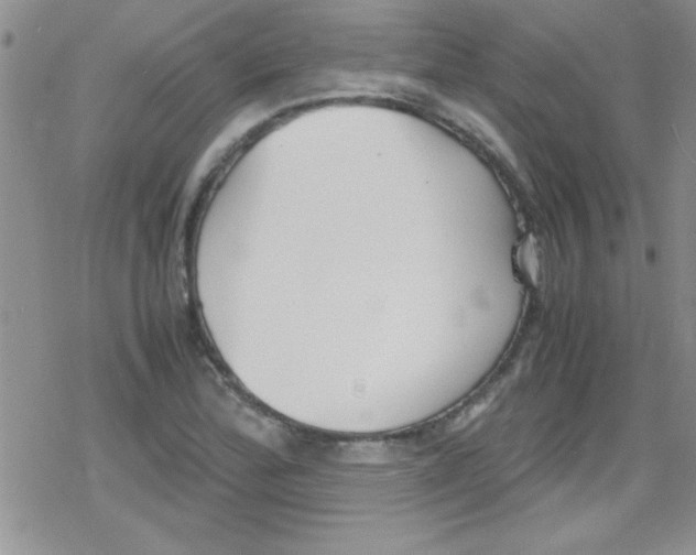 X0000079341172200612082017