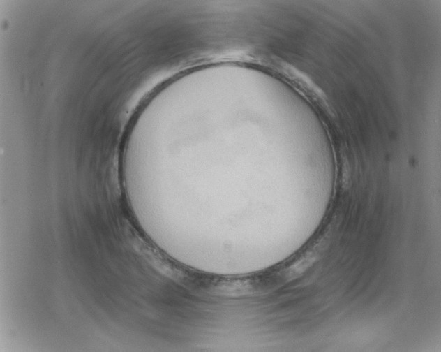 X0000079341174200612082017