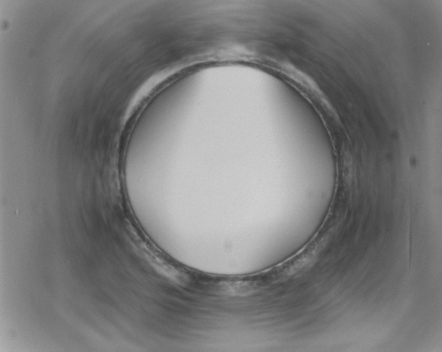 X0000079341176200612082017