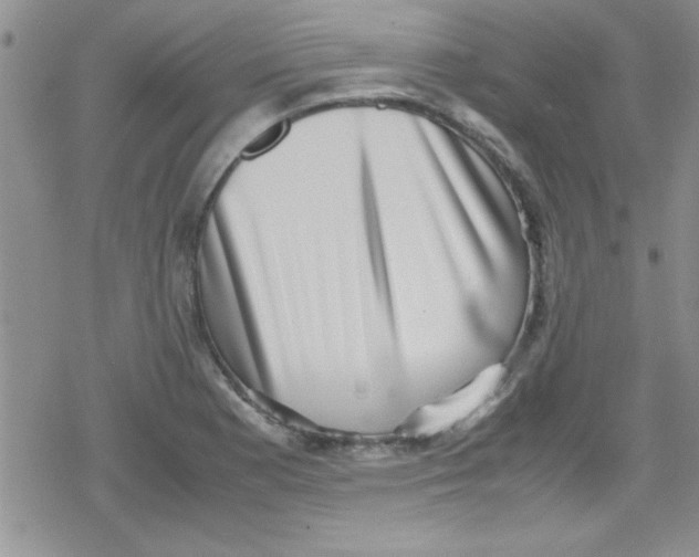 X0000079341177200612082017