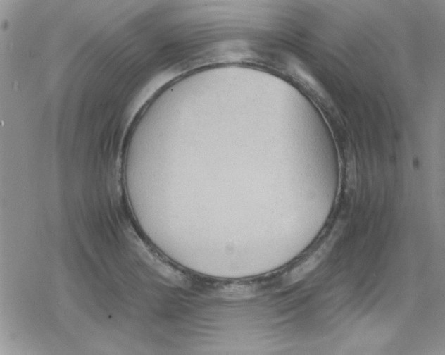 X0000079341178200612082017