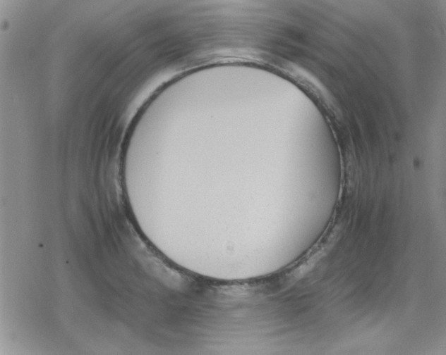 X0000079341182200612082017