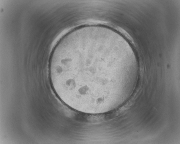 X0000079341183200612082017