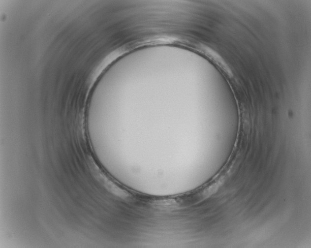 X0000079341186200612082016