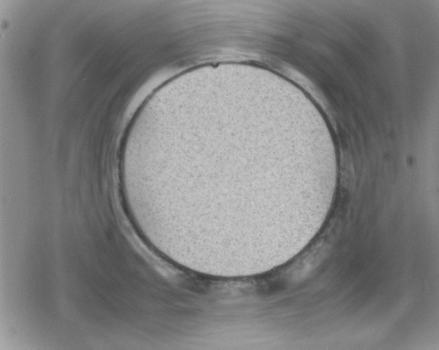 X0000079341187200612082016