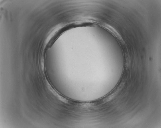 X0000079341188200612082016