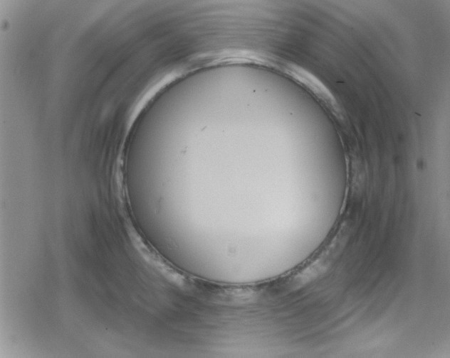 X0000079341190200612082016