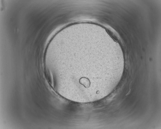 X0000079341191200612082016