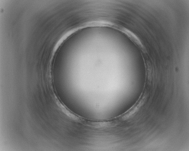 X0000079341192200612082016