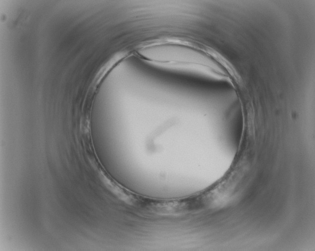 X0000079341193200612082016