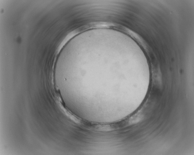 X0000079341194200612082016