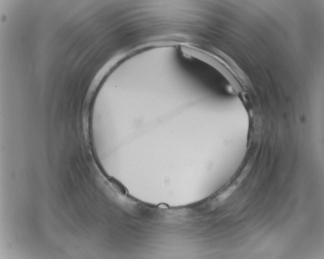 X0000079341196200612082016