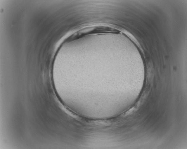 X0000079341197200612082016