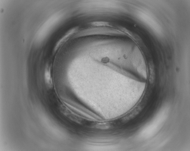 X0000079341198200612082016