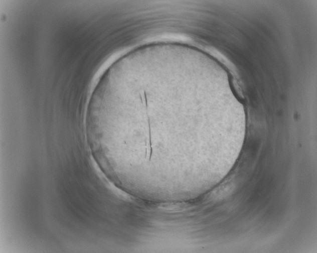 X0000079341199200612082016