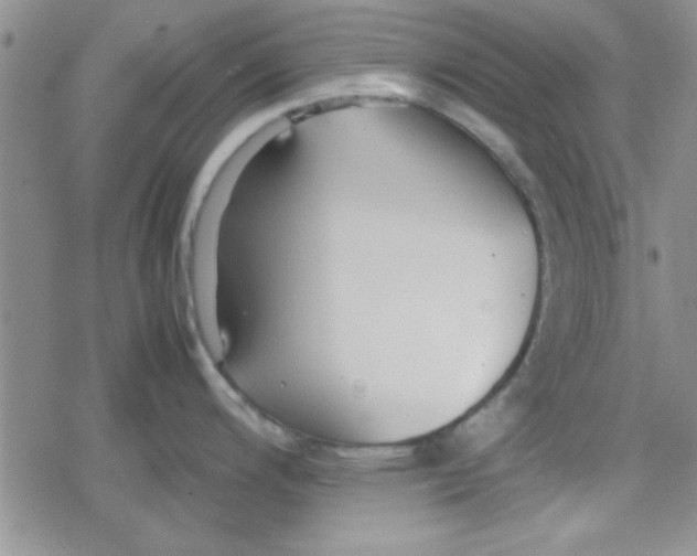 X0000079341200200612082016