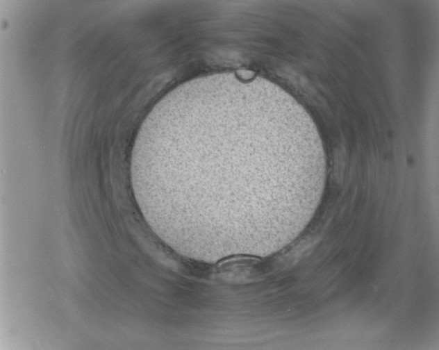 X0000079341201200612082015