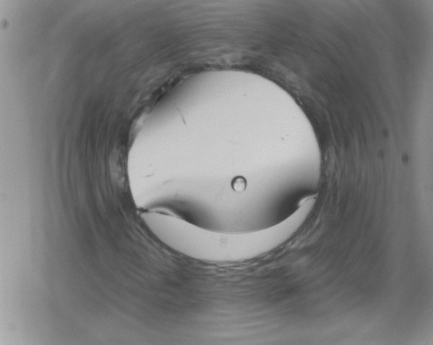 X0000079341202200612082015