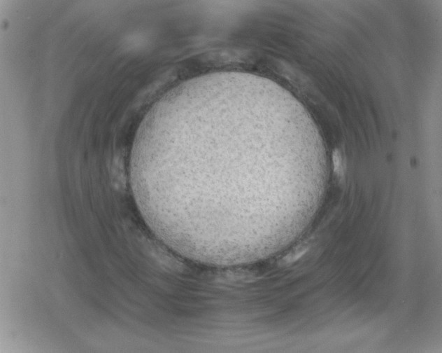 X0000079341203200612082015