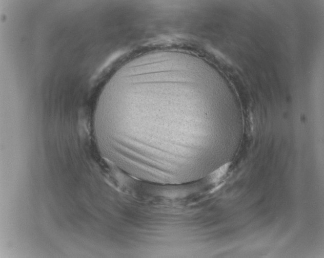 X0000079341206200612082016