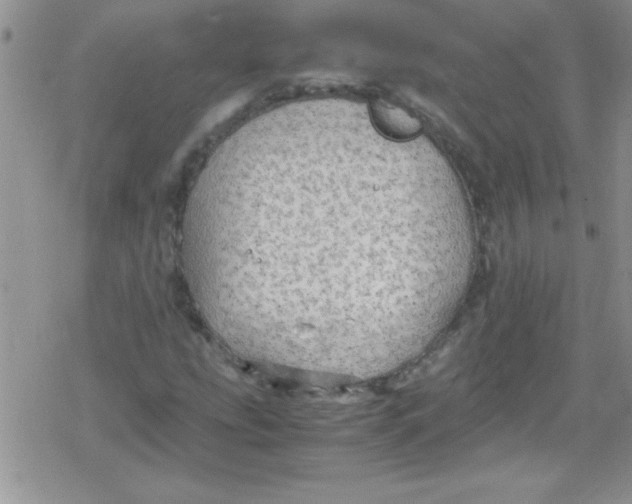 X0000079341207200612082016