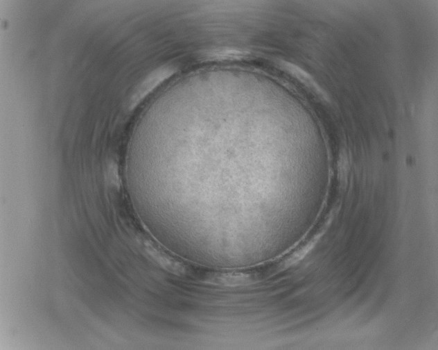 X0000079341209200612082016