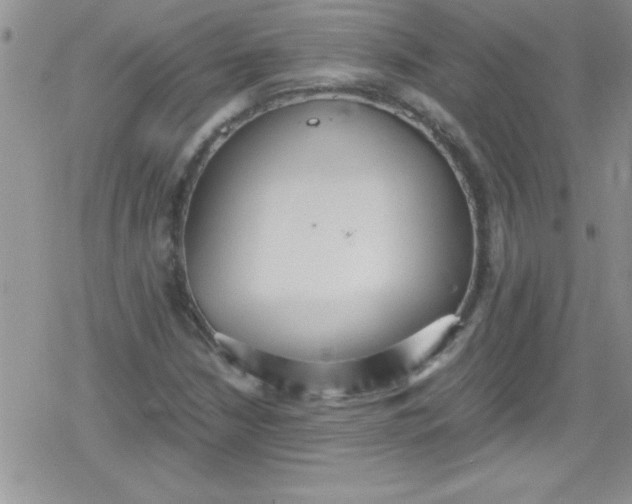 X0000079341210200612082016