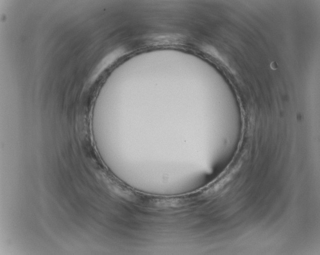 X0000079341211200612082016