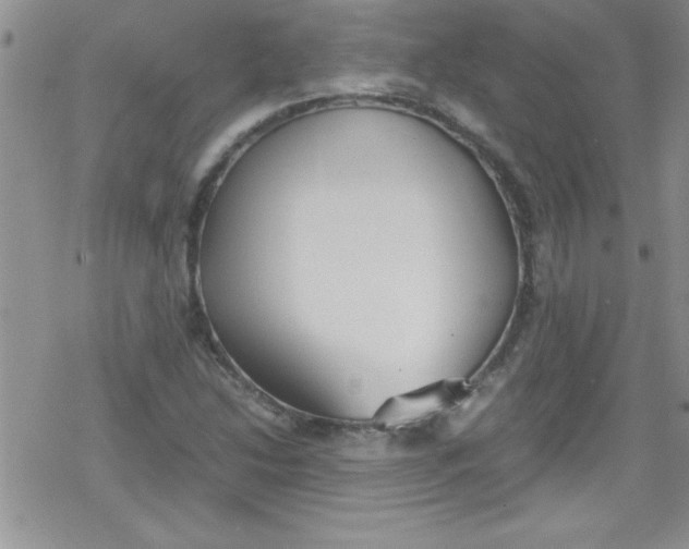 X0000079341214200612082016