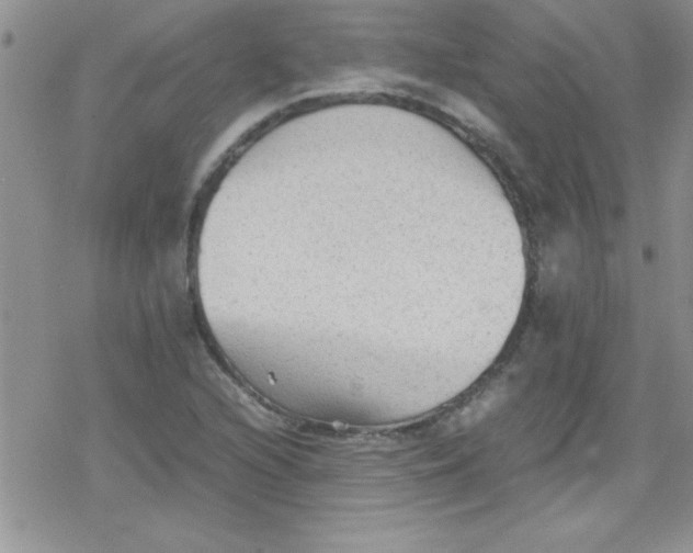 X0000079341216200612082016