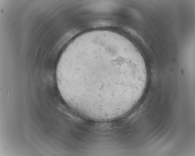 X0000079341217200612082016