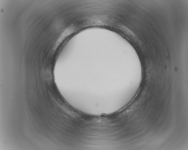 X0000079341218200612082016