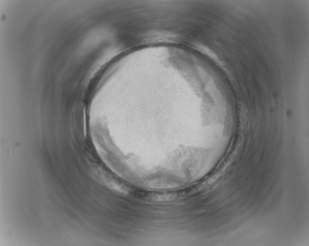 X0000079341219200612082016