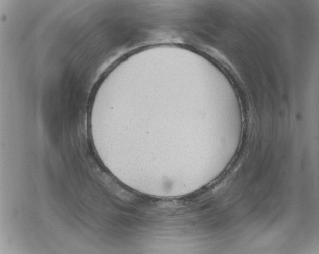 X0000079341220200612082016