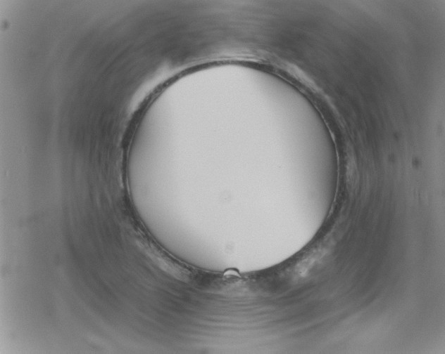 X0000079341222200612082016