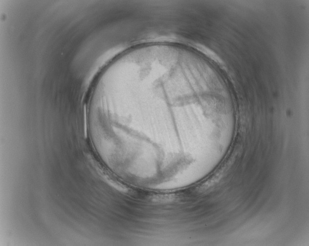 X0000079341223200612082016