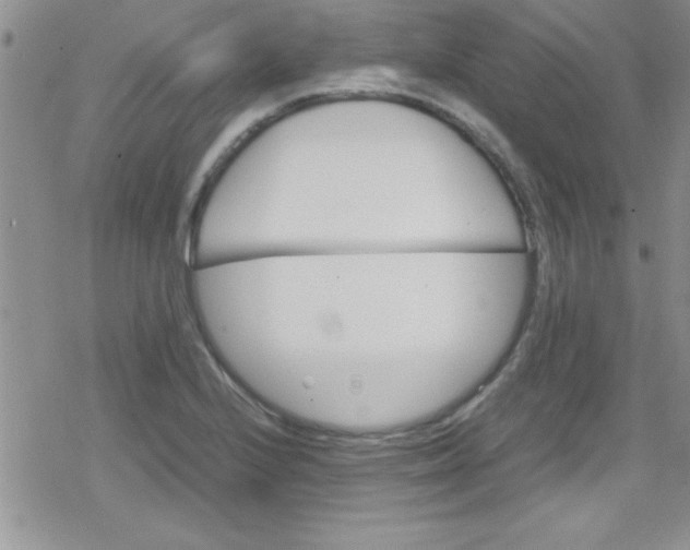 X0000079341224200612082016