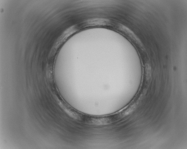 X0000079341225200612082016