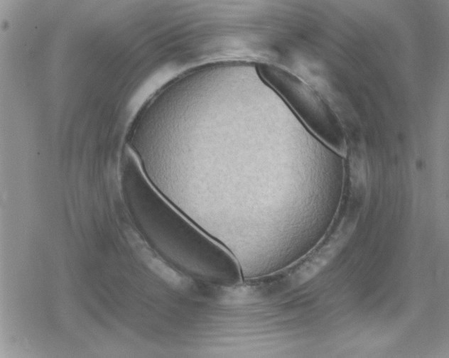 X0000079341230200612082016