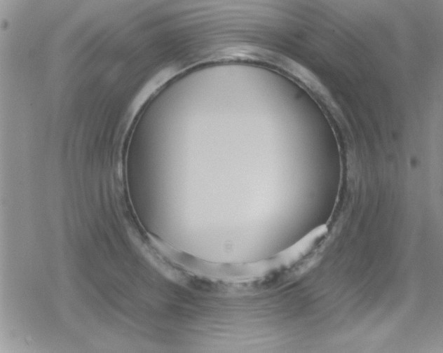 X0000079341234200612082016