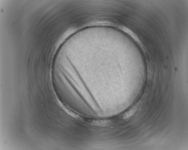 X0000079341237200612082016