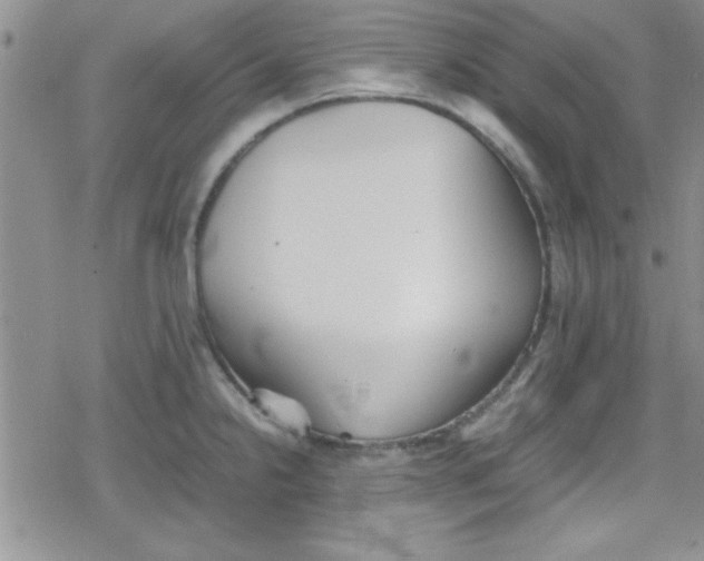 X0000079341238200612082016