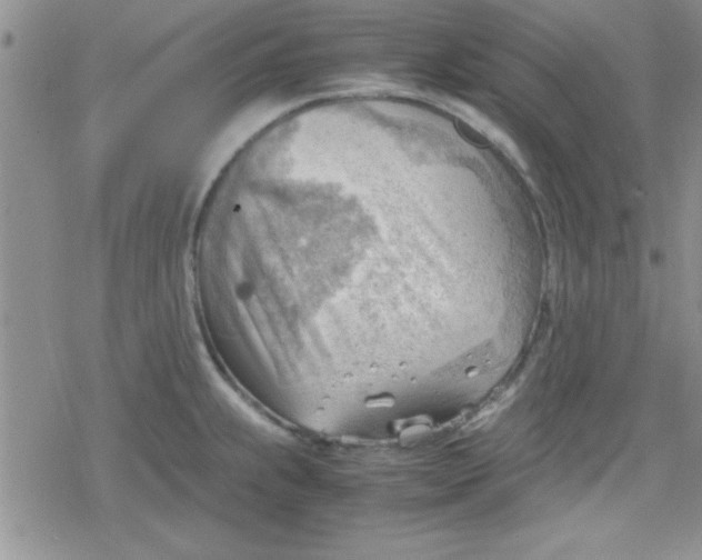 X0000079341239200612082016