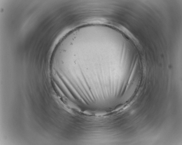 X0000079341240200612082016