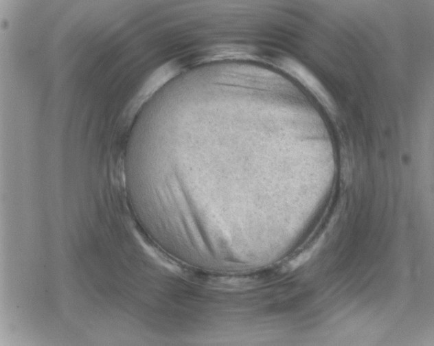 X0000079341241200612082016