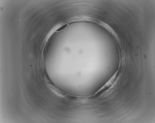 X0000079341242200612082016