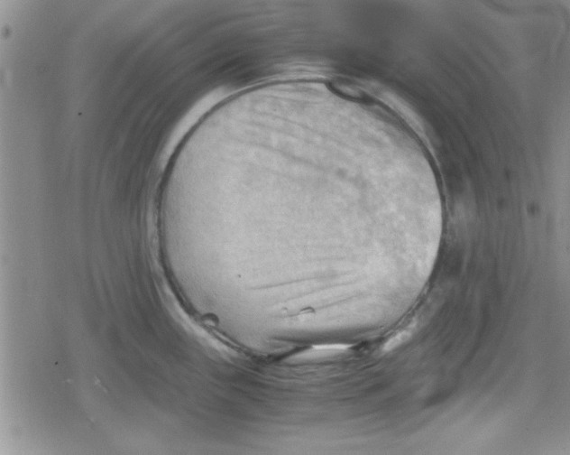 X0000079341243200612082016