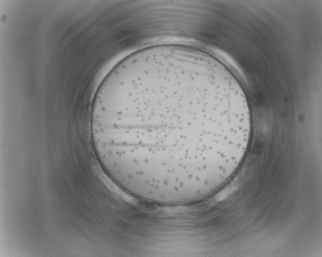 X0000079341244200612082016